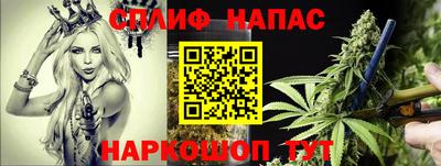 тгк Пугачёв