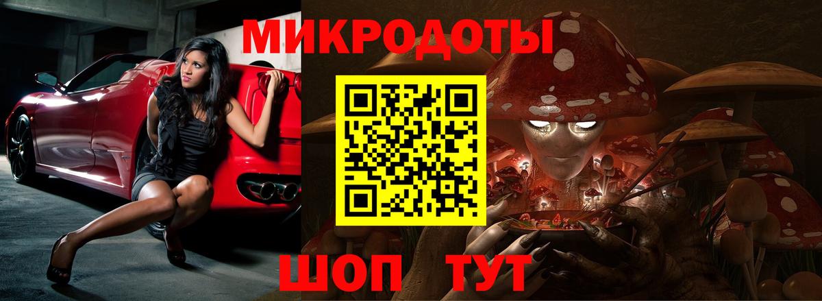 Псилоцибиновые грибы Psilocybine cubensis Семилуки